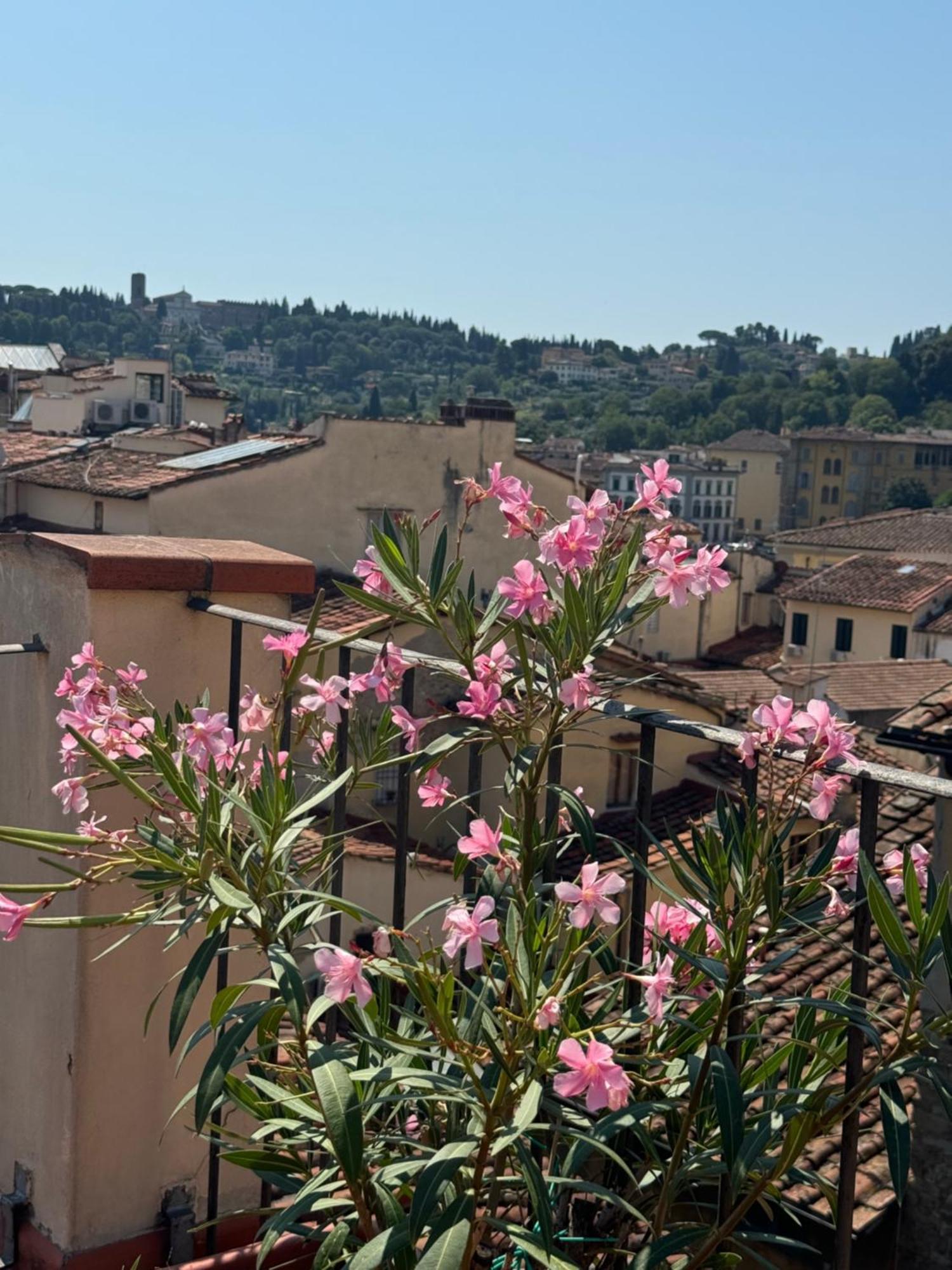 Apartamento Firenze Panorama & Terrace *